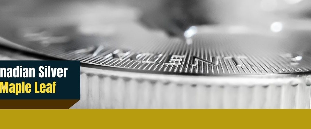 Canadian Silver Maple Leaf