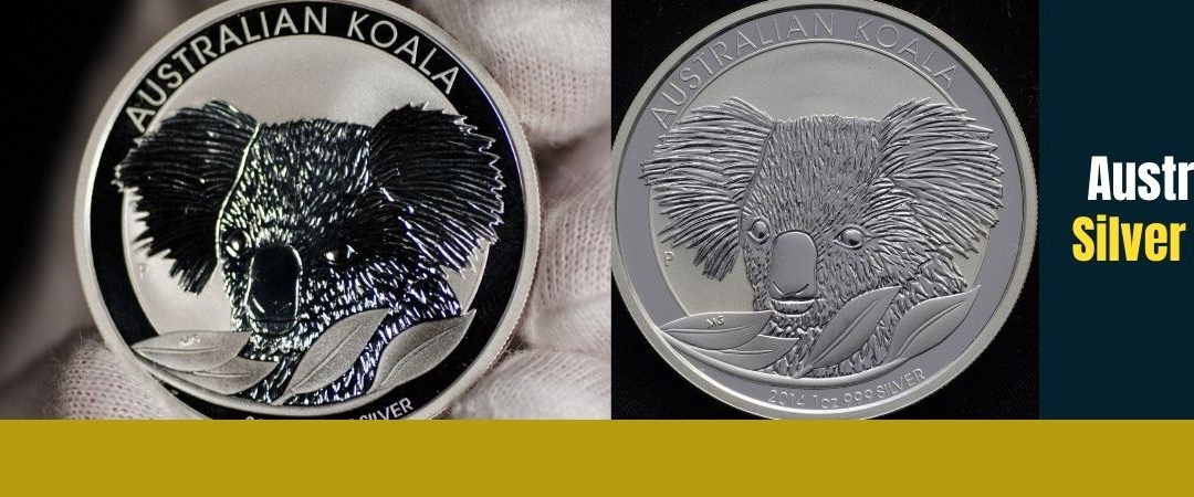 Australian Silver Koala